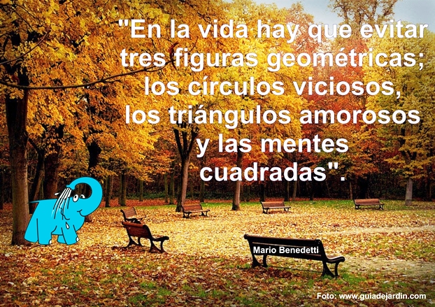 Una Enseñanza de Mario Benedetti sobre las Relaciones Personales, en La Frase del Día
